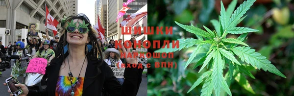 гашик Балахна