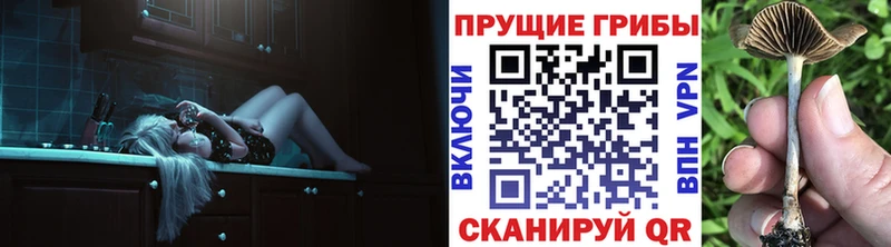 Галлюциногенные грибы Psilocybe  где продают наркотики  Среднеуральск 